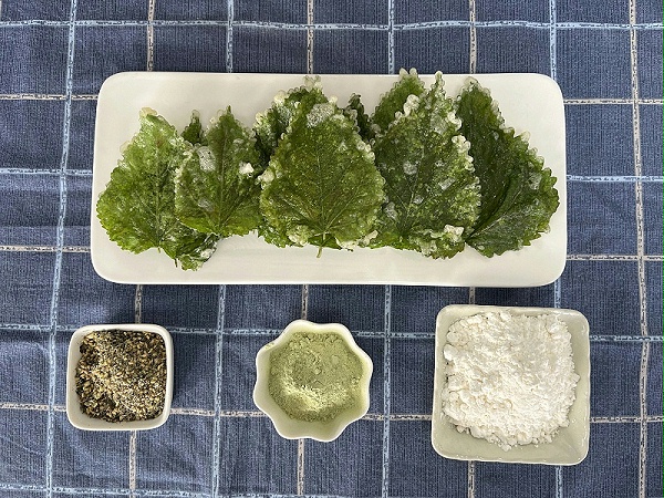 桑树叶浆粉